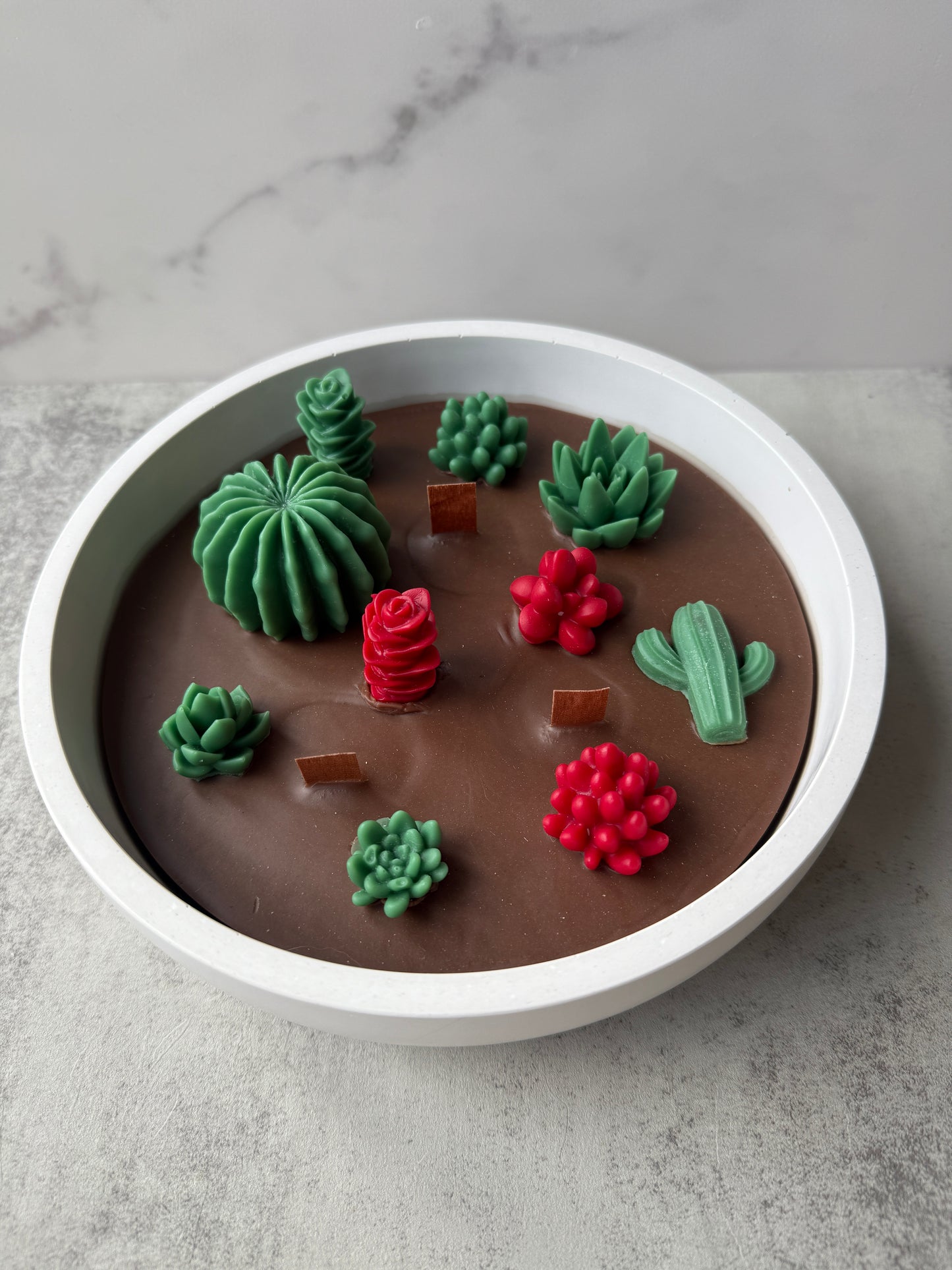 Kakteen/Sukkulenten Kerze