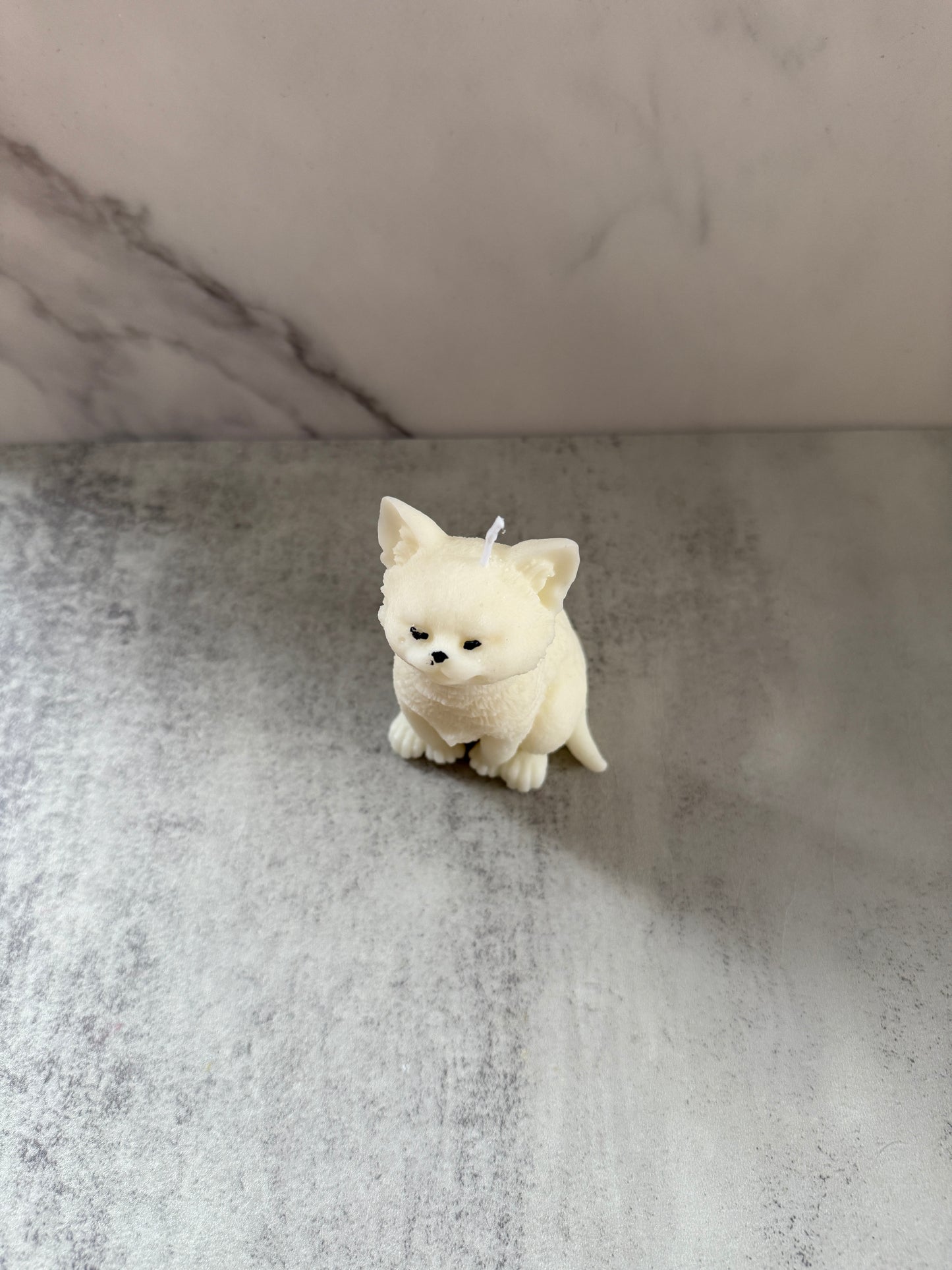 Katzen Kerze