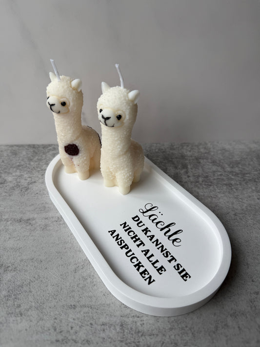 Alpaca onderzetter met spreuk