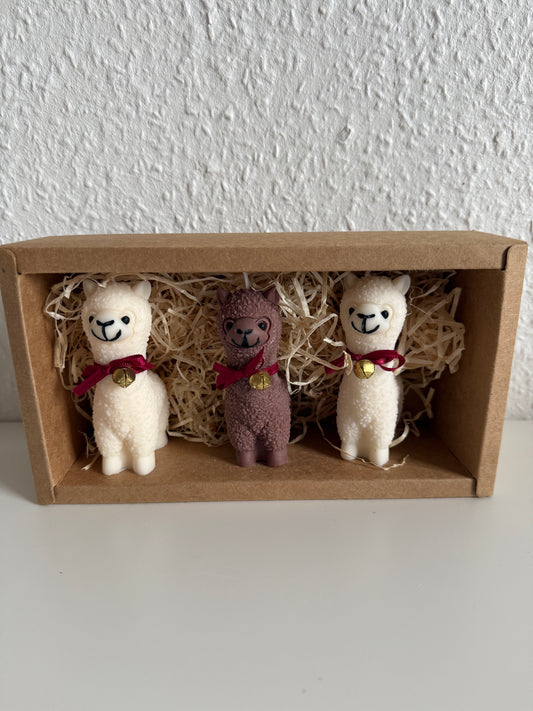 Alpaka Geschenkset