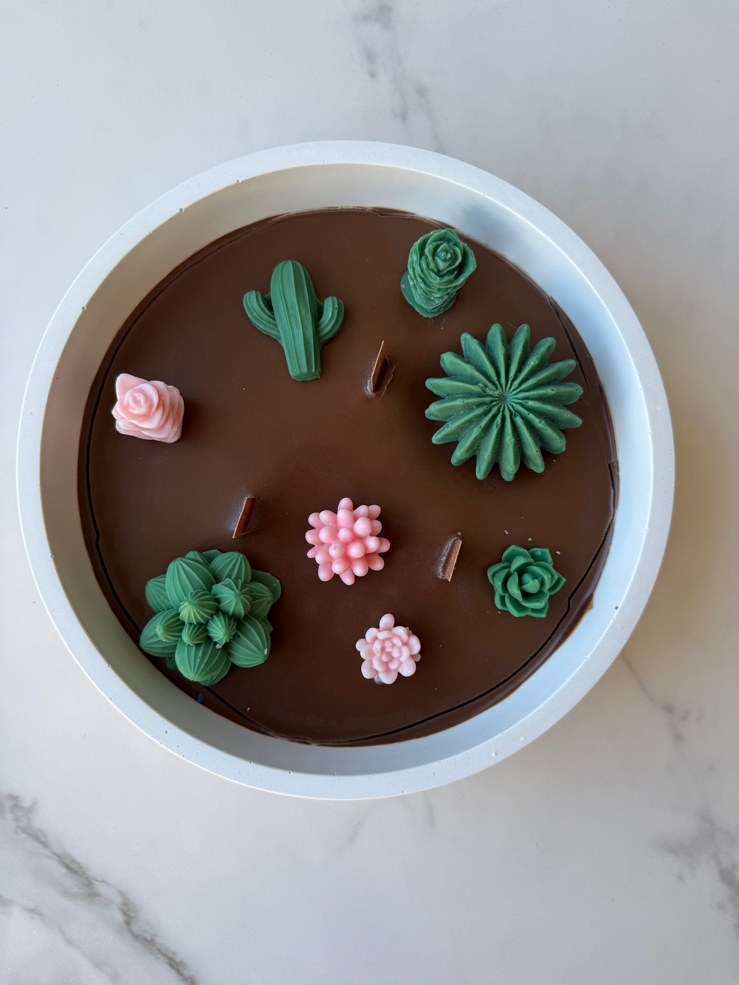 Kakteen/Sukkulenten Kerze