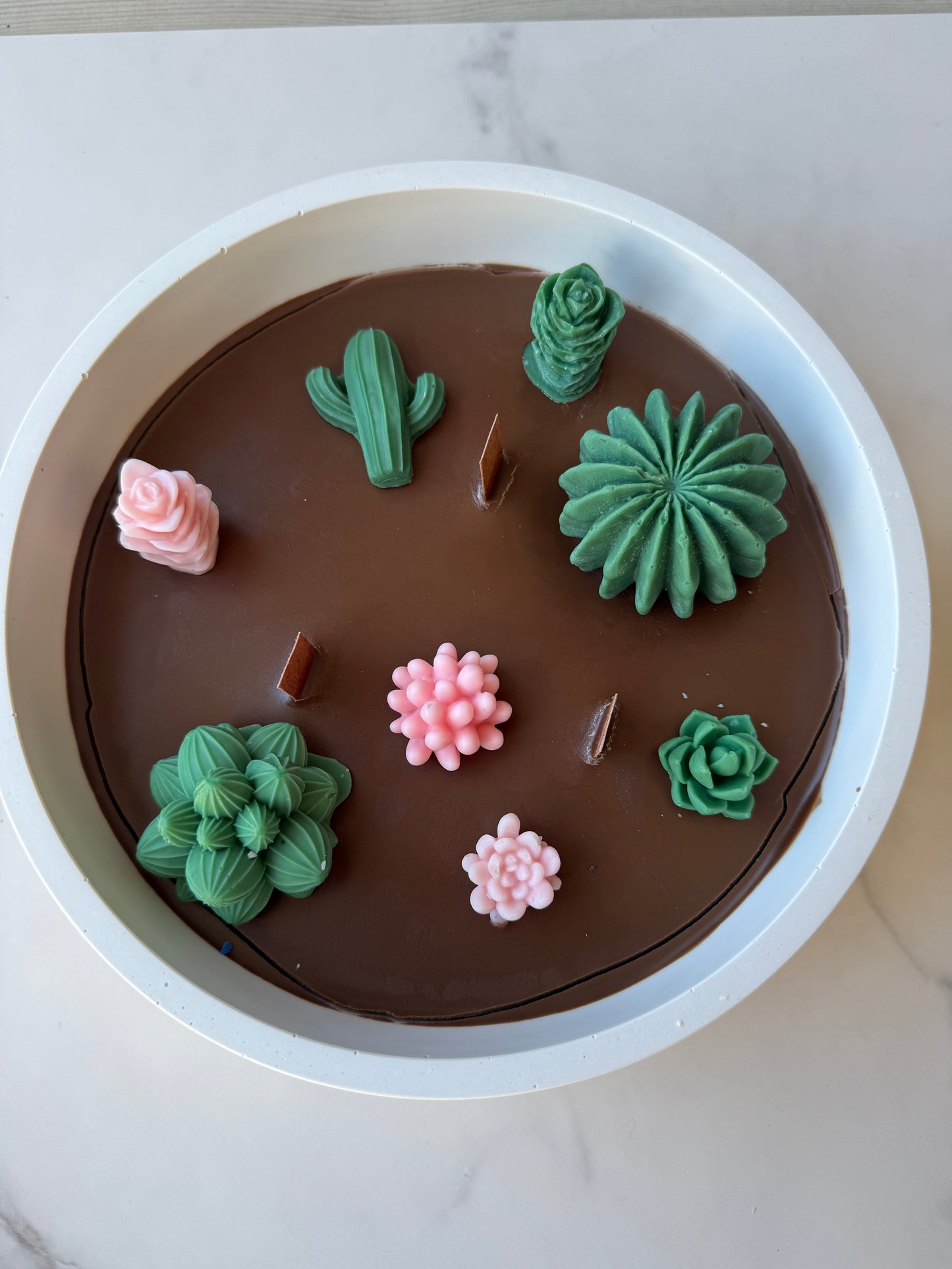 Kakteen/Sukkulenten Kerze