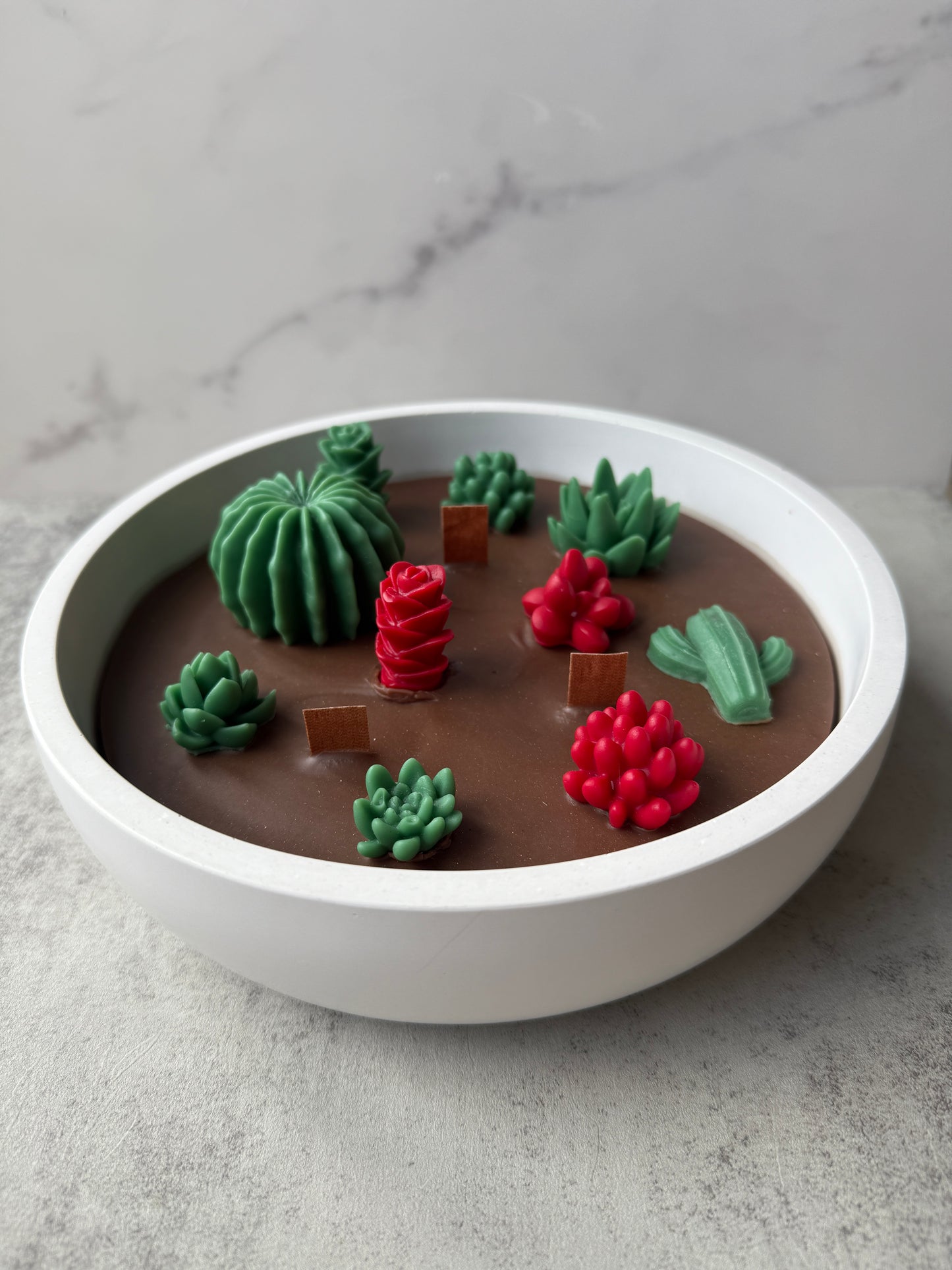 Kakteen/Sukkulenten Kerze