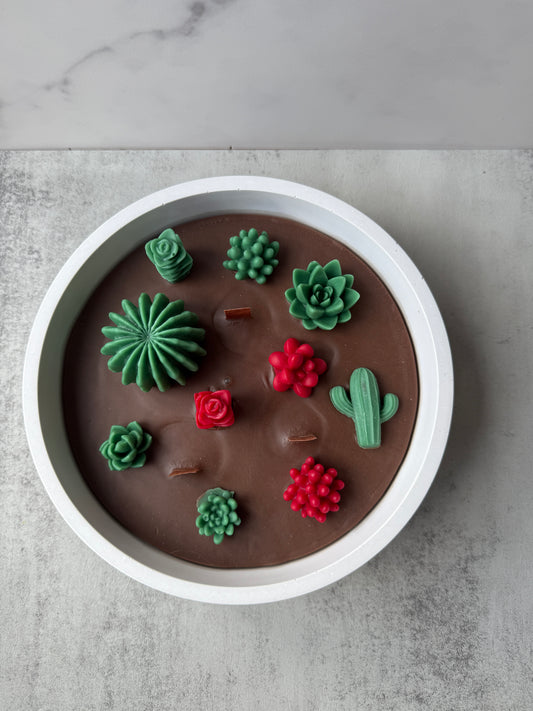 Kakteen/Sukkulenten Kerze